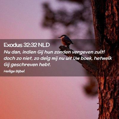 Picture 02 - Exodus 32:32 NLD - Nu dan, indien Gij hun zonden vergeven zult! doch - Bible Verse Picture