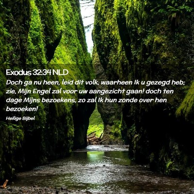 Picture 02 - Exodus 32:34 NLD - Doch ga nu heen, leid dit volk, waarheen Ik u - Bible Verse Picture