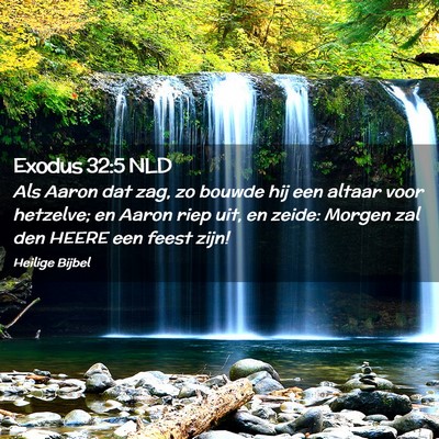 Picture 02 - Exodus 32:5 NLD - Als Aaron dat zag, zo bouwde hij een altaar voor - Bible Verse Picture