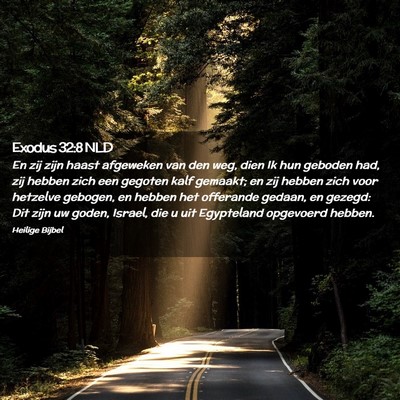 Picture 02 - Exodus 32:8 NLD - En zij zijn haast afgeweken van den weg, dien Ik - Bible Verse Picture