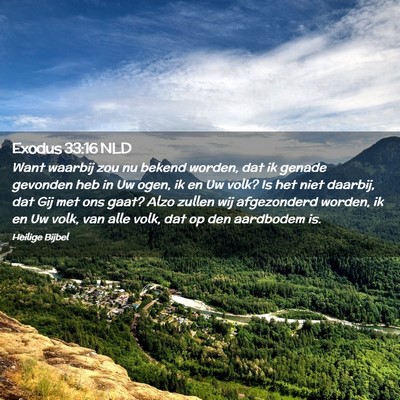 Picture 02 - Exodus 33:16 NLD - Want waarbij zou nu bekend worden, dat ik genade - Bible Verse Picture