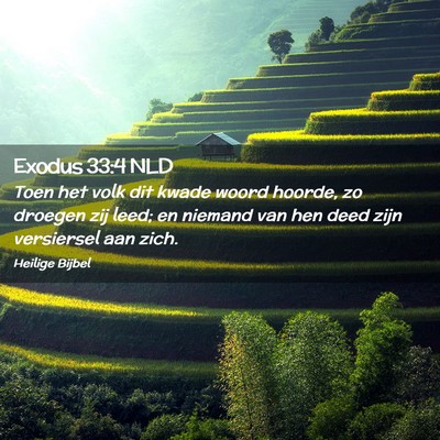 Picture 02 - Exodus 33:4 NLD - Toen het volk dit kwade woord hoorde, zo droegen - Bible Verse Picture