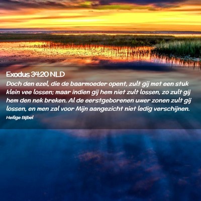 Picture 02 - Exodus 34:20 NLD - Doch den ezel, die de baarmoeder opent, zult gij - Bible Verse Picture