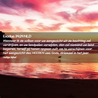 Picture 02 - Exodus 34:24 NLD - Wanneer Ik de volken voor uw aangezicht uit de - Bible Verse Picture