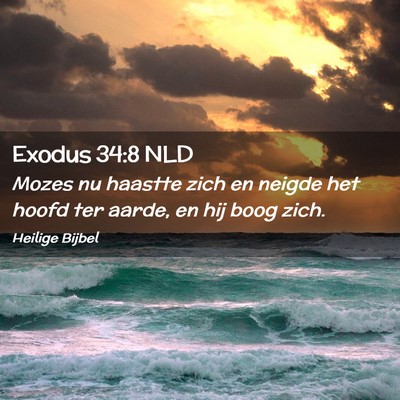 Picture 02 - Exodus 34:8 NLD - Mozes nu haastte zich en neigde het hoofd ter - Bible Verse Picture