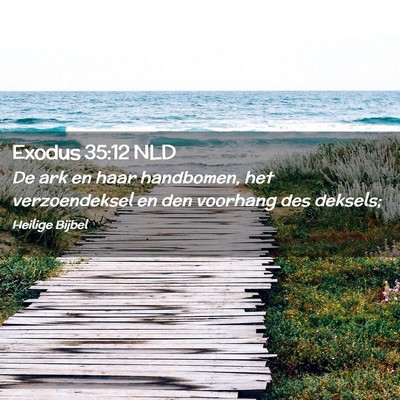 Picture 02 - Exodus 35:12 NLD - De ark en haar handbomen, het verzoendeksel en - Bible Verse Picture