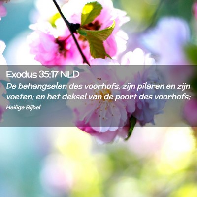 Picture 02 - Exodus 35:17 NLD - De behangselen des voorhofs, zijn pilaren en zijn - Bible Verse Picture