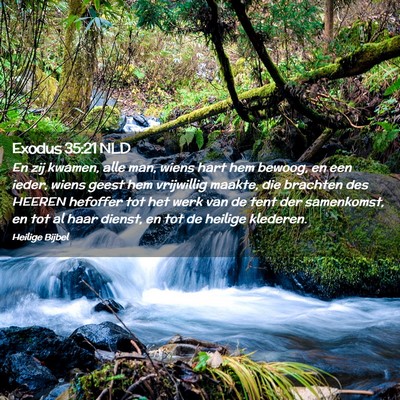 Picture 02 - Exodus 35:21 NLD - En zij kwamen, alle man, wiens hart hem bewoog, - Bible Verse Picture