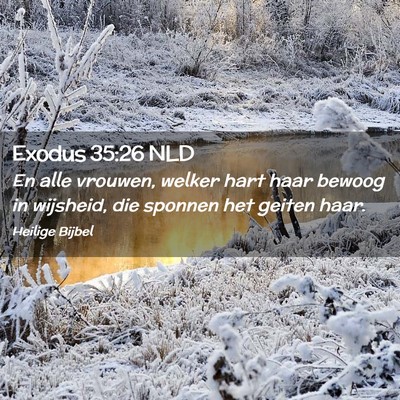 Picture 02 - Exodus 35:26 NLD - En alle vrouwen, welker hart haar bewoog in - Bible Verse Picture