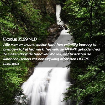 Picture 02 - Exodus 35:29 NLD - Alle man en vrouw, welker hart hen vrijwillig - Bible Verse Picture