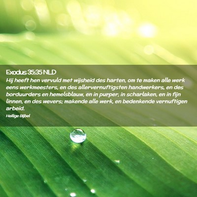 Picture 02 - Exodus 35:35 NLD - Hij heeft hen vervuld met wijsheid des harten, om - Bible Verse Picture