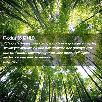 Picture 02 - Exodus 36:12 NLD - Vijftig striklisjes maakte hij aan de ene - Bible Verse Picture