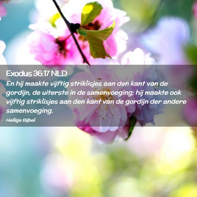 Picture 02 - Exodus 36:17 NLD - En hij maakte vijftig striklisjes aan den kant - Bible Verse Picture