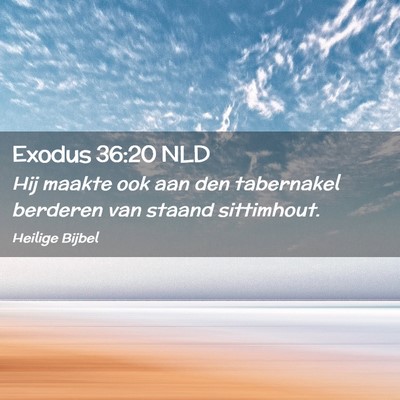 Picture 02 - Exodus 36:20 NLD - Hij maakte ook aan den tabernakel berderen van - Bible Verse Picture