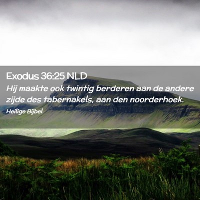 Picture 02 - Exodus 36:25 NLD - Hij maakte ook twintig berderen aan de andere - Bible Verse Picture