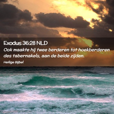 Picture 02 - Exodus 36:28 NLD - Ook maakte hij twee berderen tot hoekberderen des - Bible Verse Picture