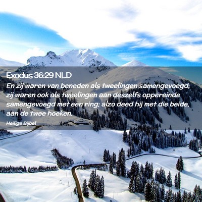 Picture 02 - Exodus 36:29 NLD - En zij waren van beneden als tweelingen - Bible Verse Picture