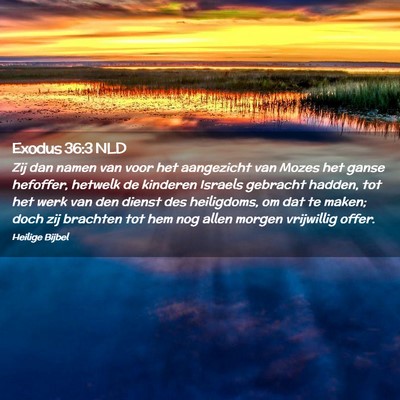Picture 02 - Exodus 36:3 NLD - Zij dan namen van voor het aangezicht van Mozes - Bible Verse Picture