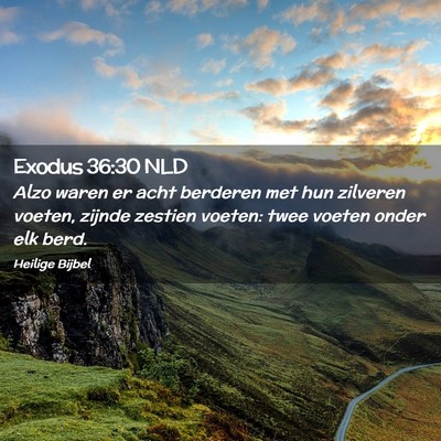 Picture 02 - Exodus 36:30 NLD - Alzo waren er acht berderen met hun zilveren - Bible Verse Picture