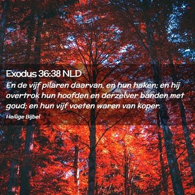 Picture 02 - Exodus 36:38 NLD - En de vijf pilaren daarvan, en hun haken; en hij - Bible Verse Picture