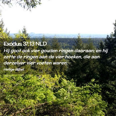 Picture 02 - Exodus 37:13 NLD - Hij goot ook vier gouden ringen daaraan; en hij - Bible Verse Picture