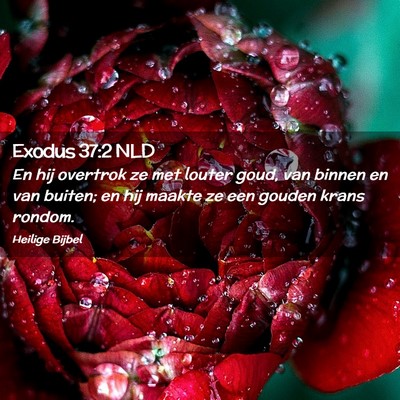 Picture 02 - Exodus 37:2 NLD - En hij overtrok ze met louter goud, van binnen en - Bible Verse Picture