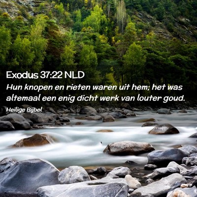 Picture 02 - Exodus 37:22 NLD - Hun knopen en rieten waren uit hem; het was - Bible Verse Picture