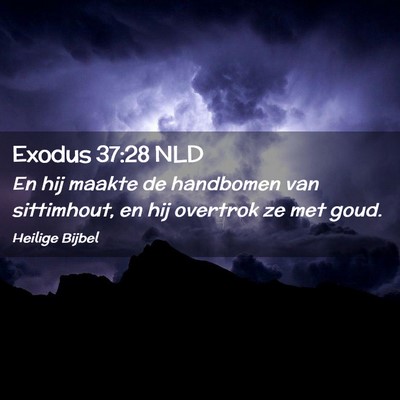 Picture 02 - Exodus 37:28 NLD - En hij maakte de handbomen van sittimhout, en hij - Bible Verse Picture