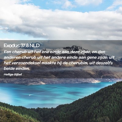 Picture 02 - Exodus 37:8 NLD - Een cherub uit het ene einde aan deze zijde, en - Bible Verse Picture