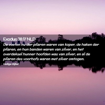Picture 02 - Exodus 38:17 NLD - De voeten nu der pilaren waren van koper, de - Bible Verse Picture