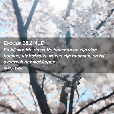 Picture 02 - Exodus 38:2 NLD - En hij maakte deszelfs hoornen op zijn vier - Bible Verse Picture