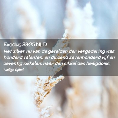 Picture 02 - Exodus 38:25 NLD - Het zilver nu van de getelden der vergadering was - Bible Verse Picture