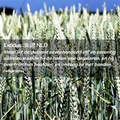 Picture 02 - Exodus 38:28 NLD - Maar uit de duizend zevenhonderd vijf en zeventig - Bible Verse Picture