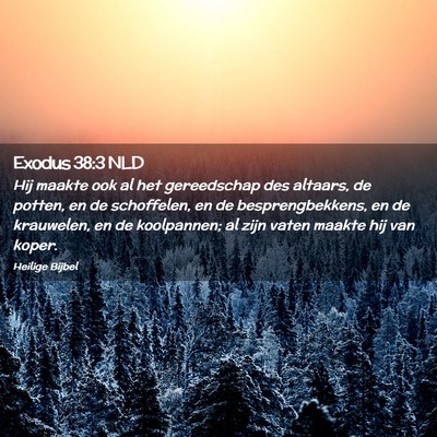 Picture 02 - Exodus 38:3 NLD - Hij maakte ook al het gereedschap des altaars, de - Bible Verse Picture