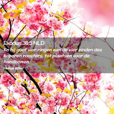 Picture 02 - Exodus 38:5 NLD - En hij goot vier ringen aan de vier einden des - Bible Verse Picture