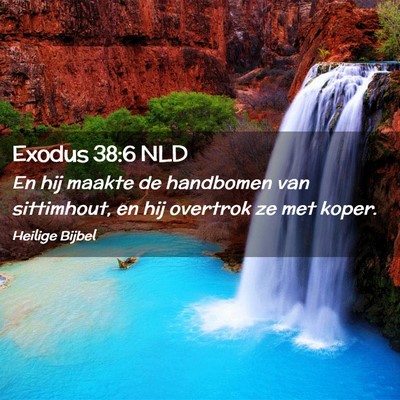 Picture 02 - Exodus 38:6 NLD - En hij maakte de handbomen van sittimhout, en hij - Bible Verse Picture