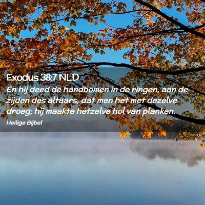 Picture 02 - Exodus 38:7 NLD - En hij deed de handbomen in de ringen, aan de - Bible Verse Picture
