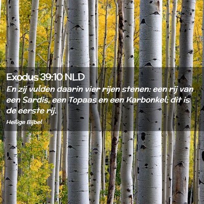 Picture 02 - Exodus 39:10 NLD - En zij vulden daarin vier rijen stenen: een rij - Bible Verse Picture