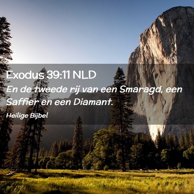 Picture 02 - Exodus 39:11 NLD - En de tweede rij van een Smaragd, een Saffier en - Bible Verse Picture