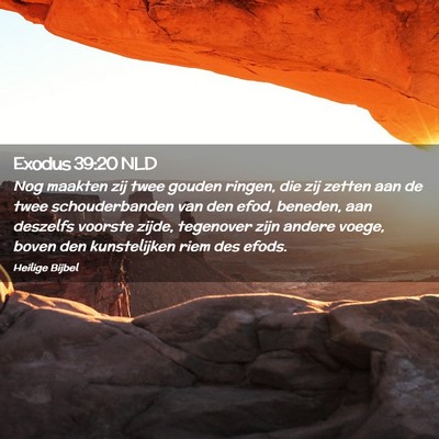 Picture 02 - Exodus 39:20 NLD - Nog maakten zij twee gouden ringen, die zij - Bible Verse Picture