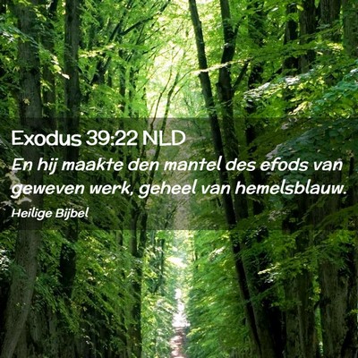 Picture 02 - Exodus 39:22 NLD - En hij maakte den mantel des efods van geweven - Bible Verse Picture