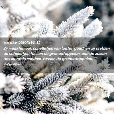 Picture 02 - Exodus 39:25 NLD - Zij maakten ook schelletjes van louter goud, en - Bible Verse Picture