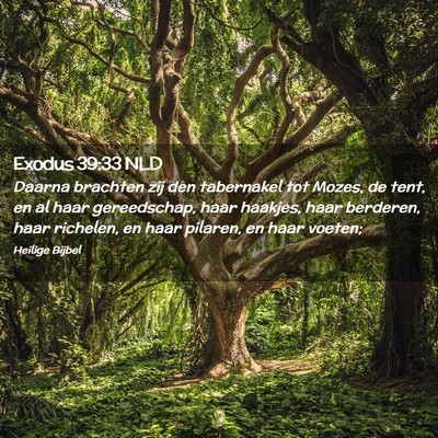 Picture 02 - Exodus 39:33 NLD - Daarna brachten zij den tabernakel tot Mozes, de - Bible Verse Picture