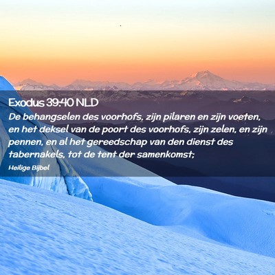 Picture 02 - Exodus 39:40 NLD - De behangselen des voorhofs, zijn pilaren en zijn - Bible Verse Picture
