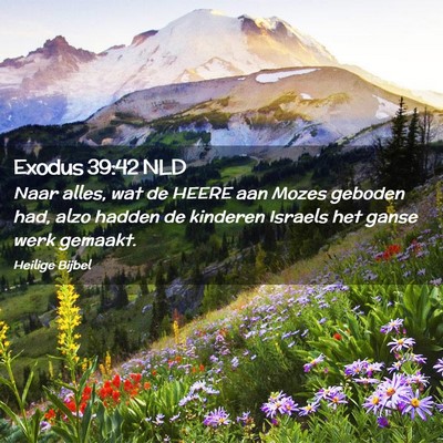 Picture 02 - Exodus 39:42 NLD - Naar alles, wat de HEERE aan Mozes geboden had, - Bible Verse Picture
