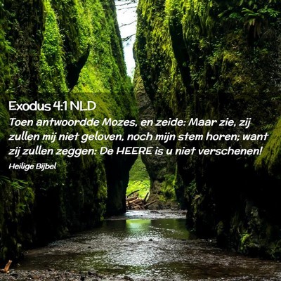 Picture 02 - Exodus 4:1 NLD - Toen antwoordde Mozes, en zeide: Maar zie, zij - Bible Verse Picture