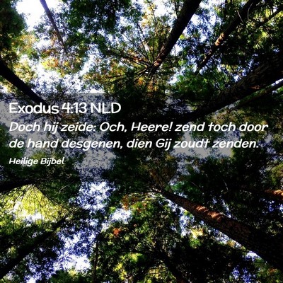 Picture 02 - Exodus 4:13 NLD - Doch hij zeide: Och, Heere! zend toch door de - Bible Verse Picture