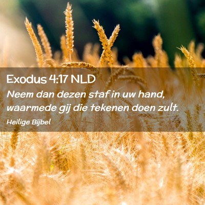 Picture 02 - Exodus 4:17 NLD - Neem dan dezen staf in uw hand, waarmede gij die - Bible Verse Picture