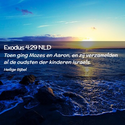 Picture 02 - Exodus 4:29 NLD - Toen ging Mozes en Aaron, en zij verzamelden al - Bible Verse Picture