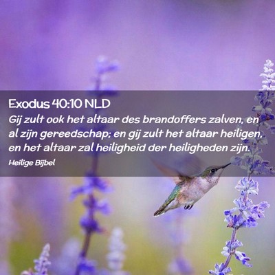 Picture 02 - Exodus 40:10 NLD - Gij zult ook het altaar des brandoffers zalven, - Bible Verse Picture